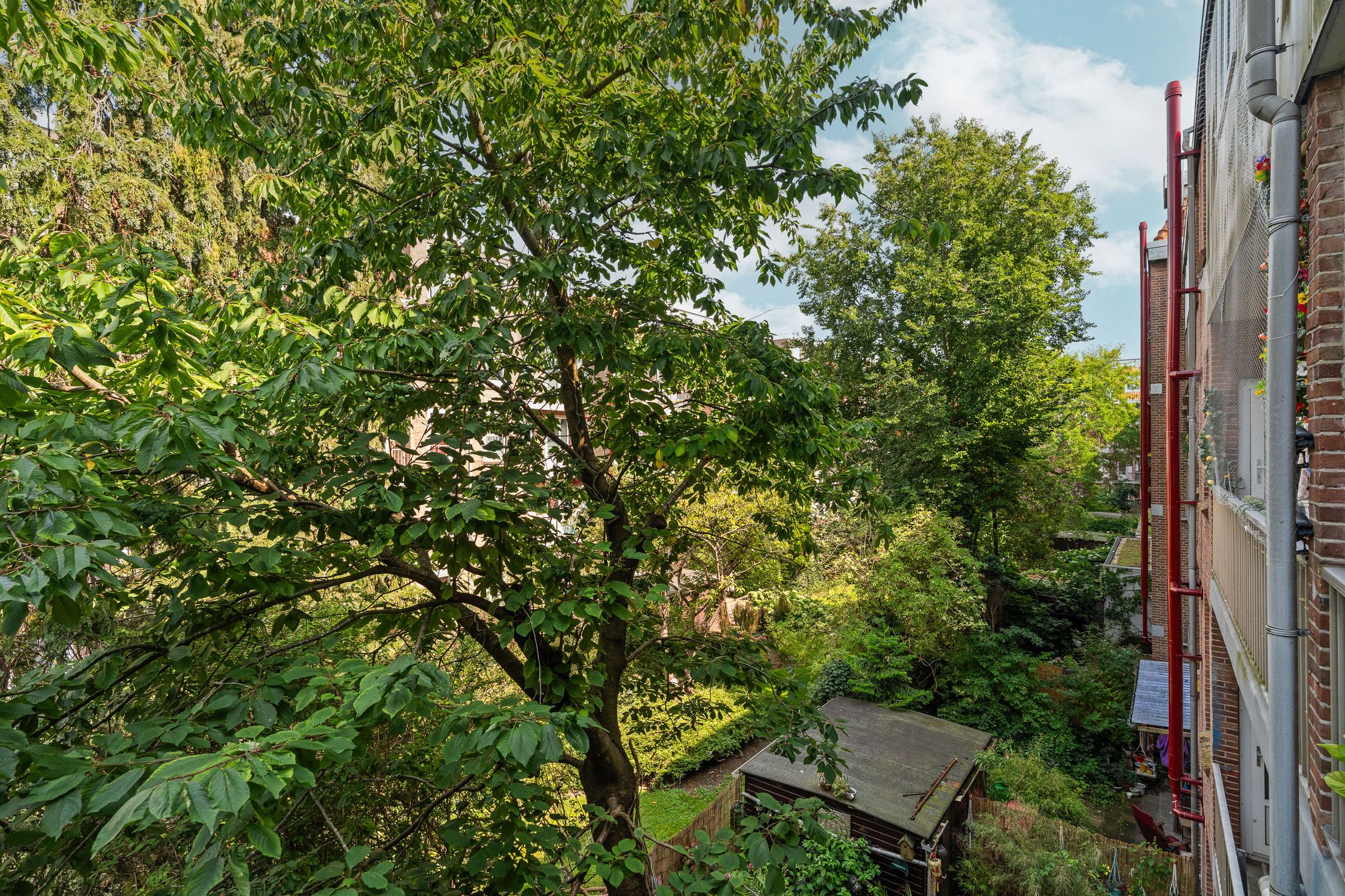 Foto 30 van Vincent van Goghstraat 123