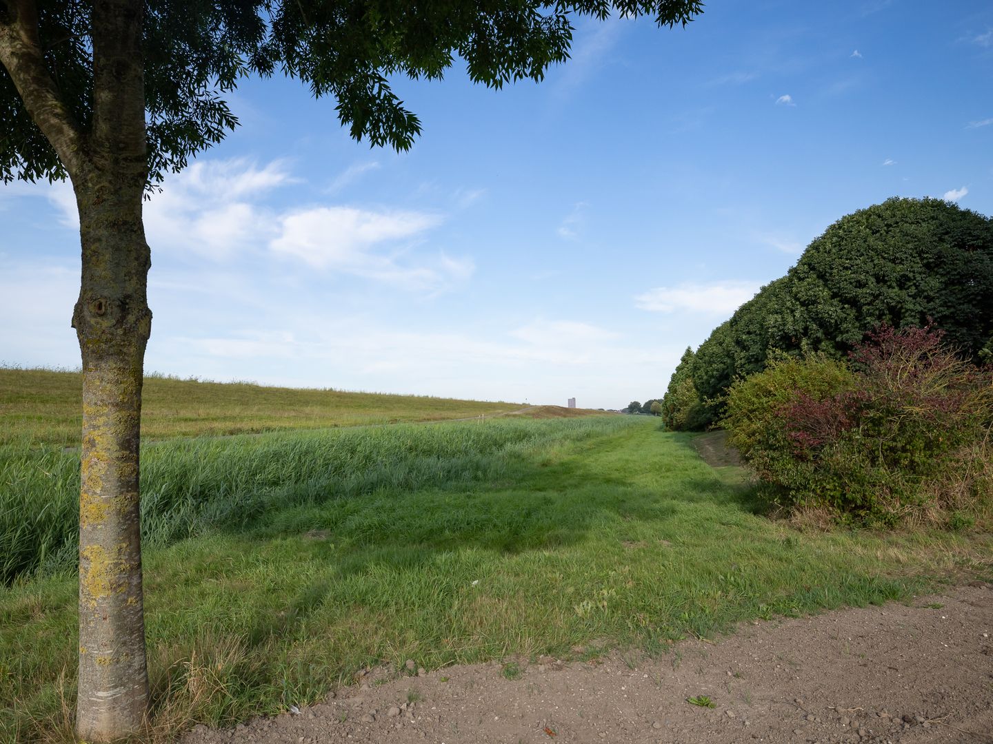 Photo 70 of Stamerbos 46