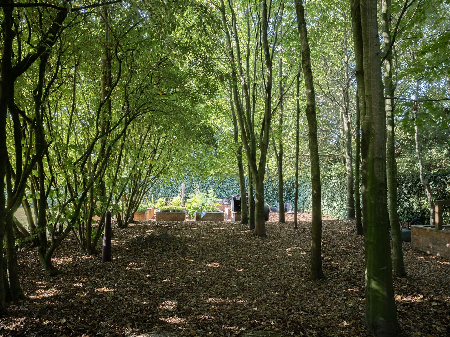 Photo 74 of Stamerbos 46