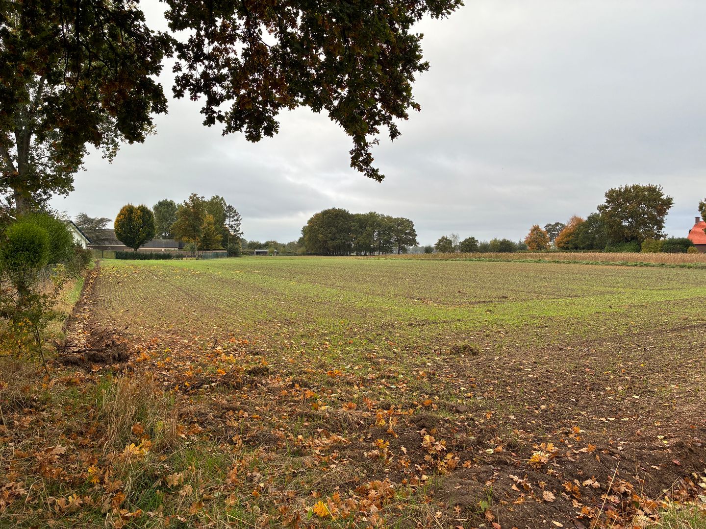 Bekijk foto 5 van Augustinusweg