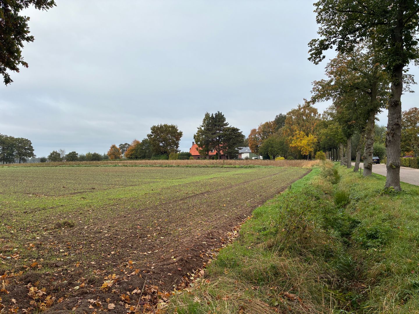 Bekijk foto 2 van Augustinusweg