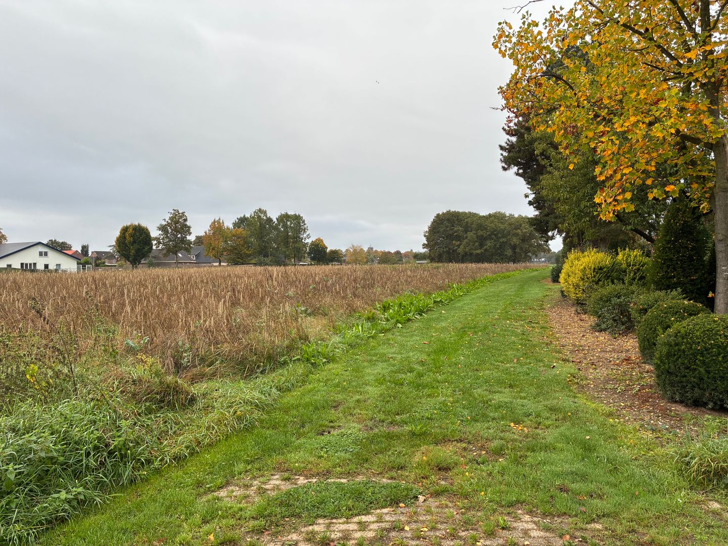 Augustinusweg - Siebengewald - Afbeelding 7