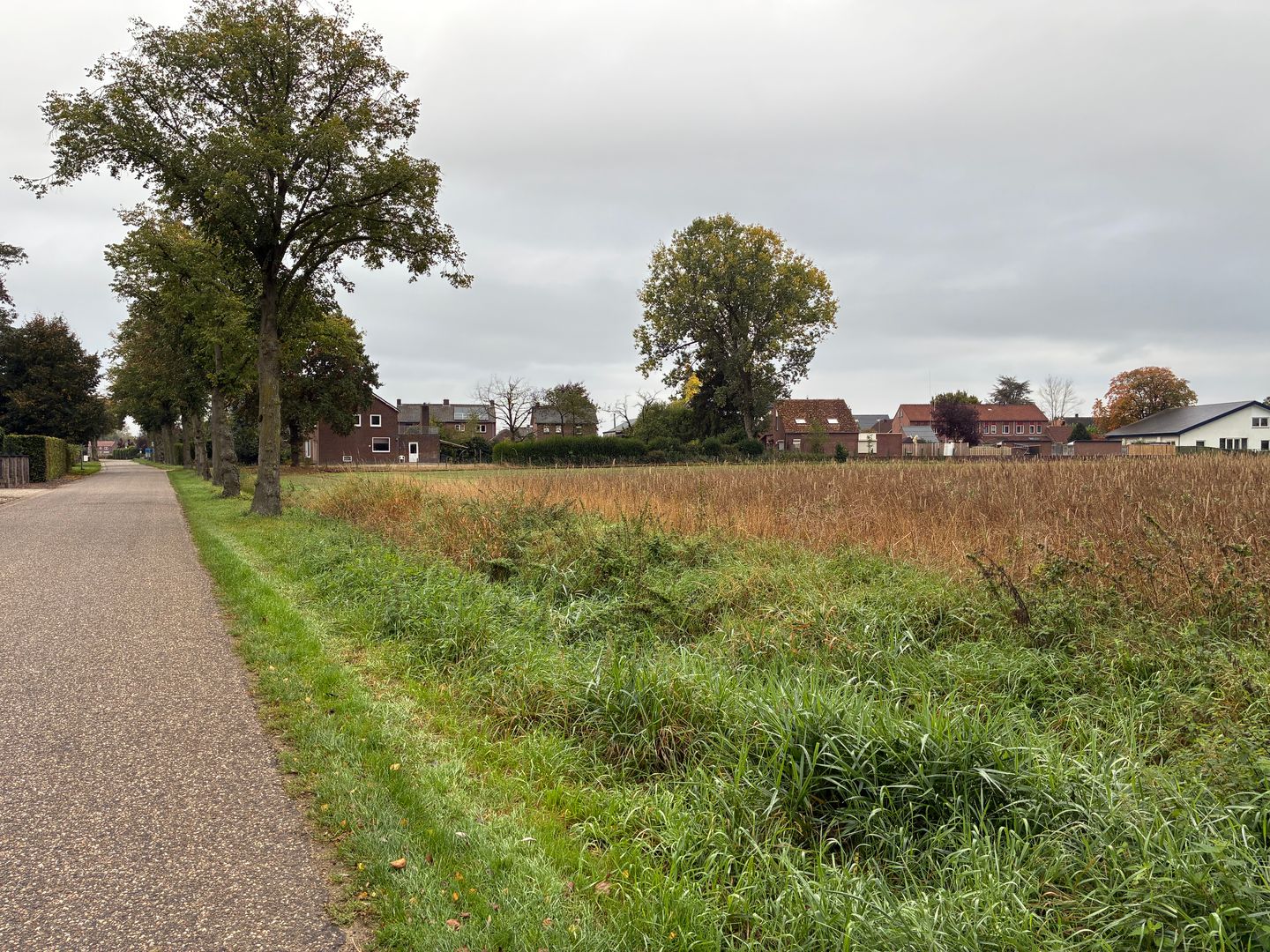 Bekijk foto 4 van Augustinusweg