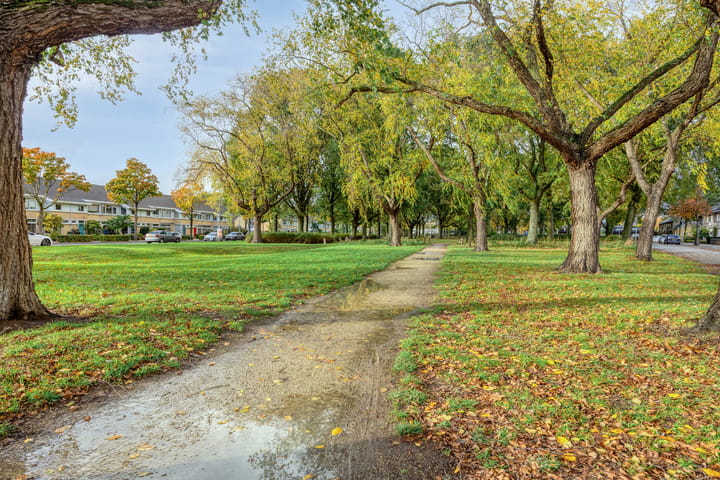 Photo 23 of Nederlandplein 67