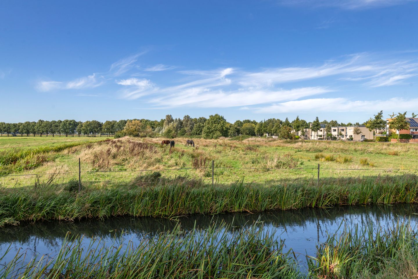 Foto 4 van Valkenier 23