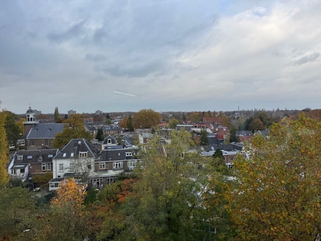 Foto 9 van Biltstein 150