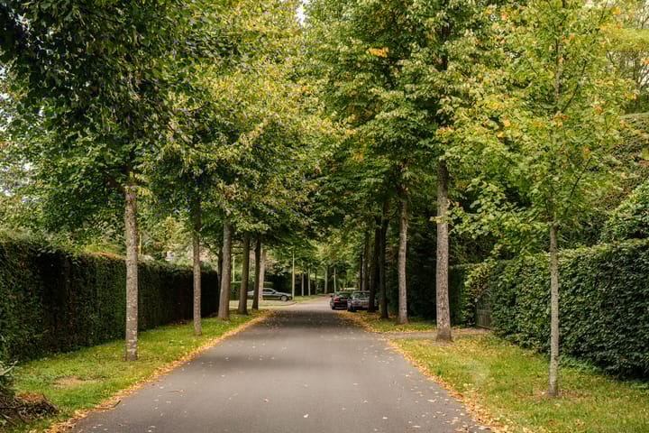 Photo 46 of Tollenslaan 8