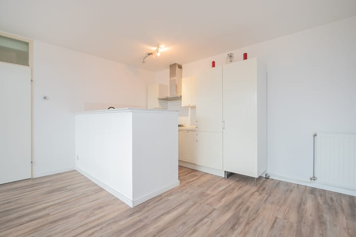 Foto 5 van Madridplantsoen 169