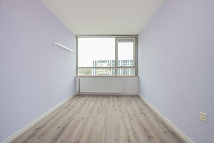 Foto 21 van Madridplantsoen 169