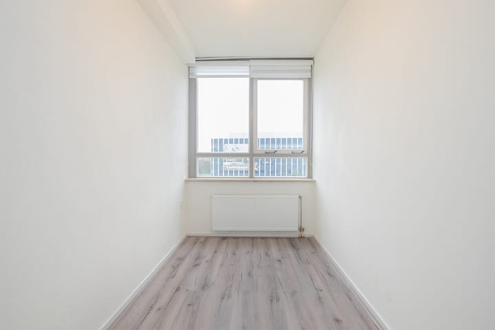 Foto 23 van Madridplantsoen 169