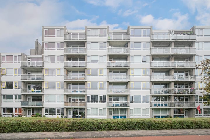 Foto 30 van Madridplantsoen 169