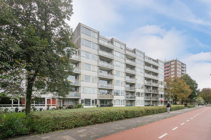 Foto 31 van Madridplantsoen 169