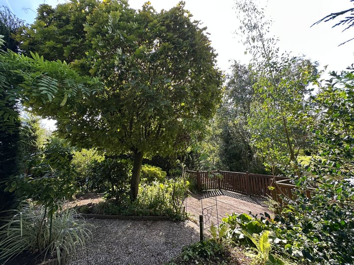 Foto 41 van Terbregseweg 42