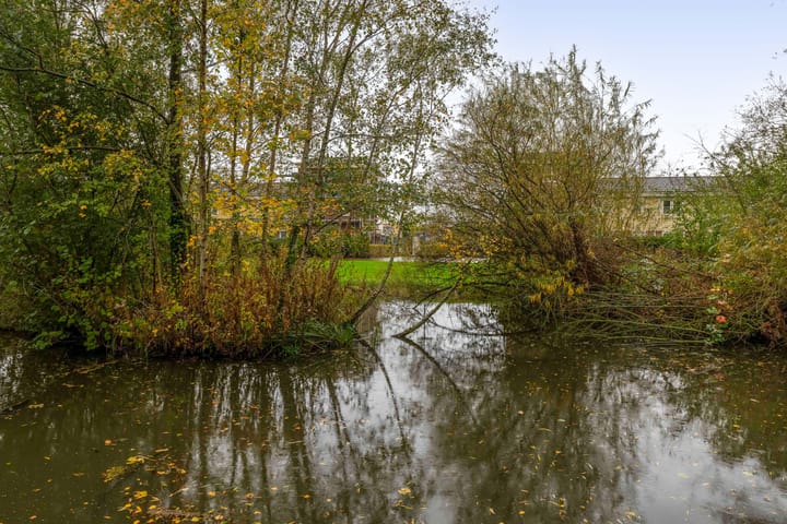 Foto 43 van Terbregseweg 42