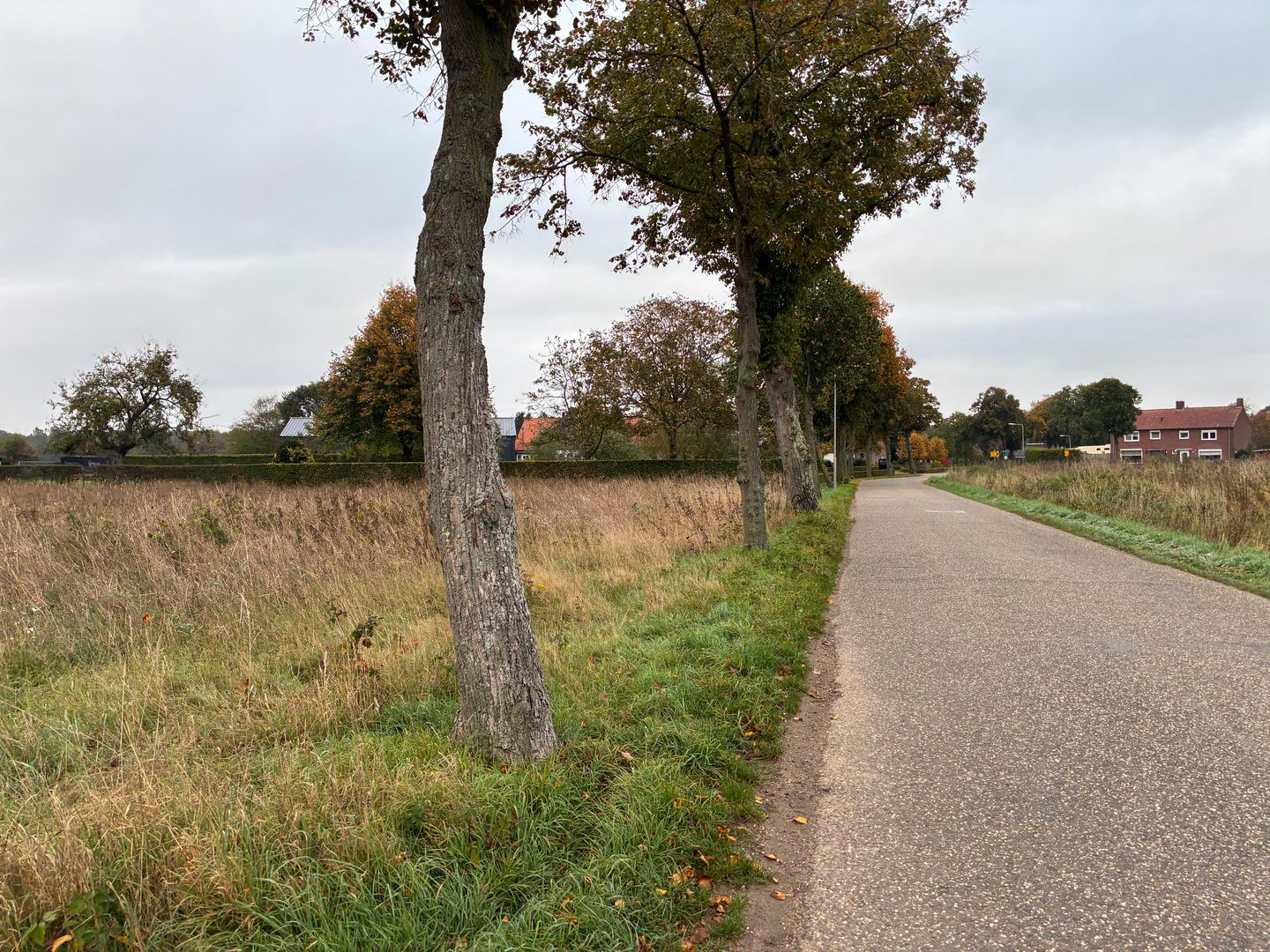 Augustinusweg - Siebengewald - Afbeelding 7