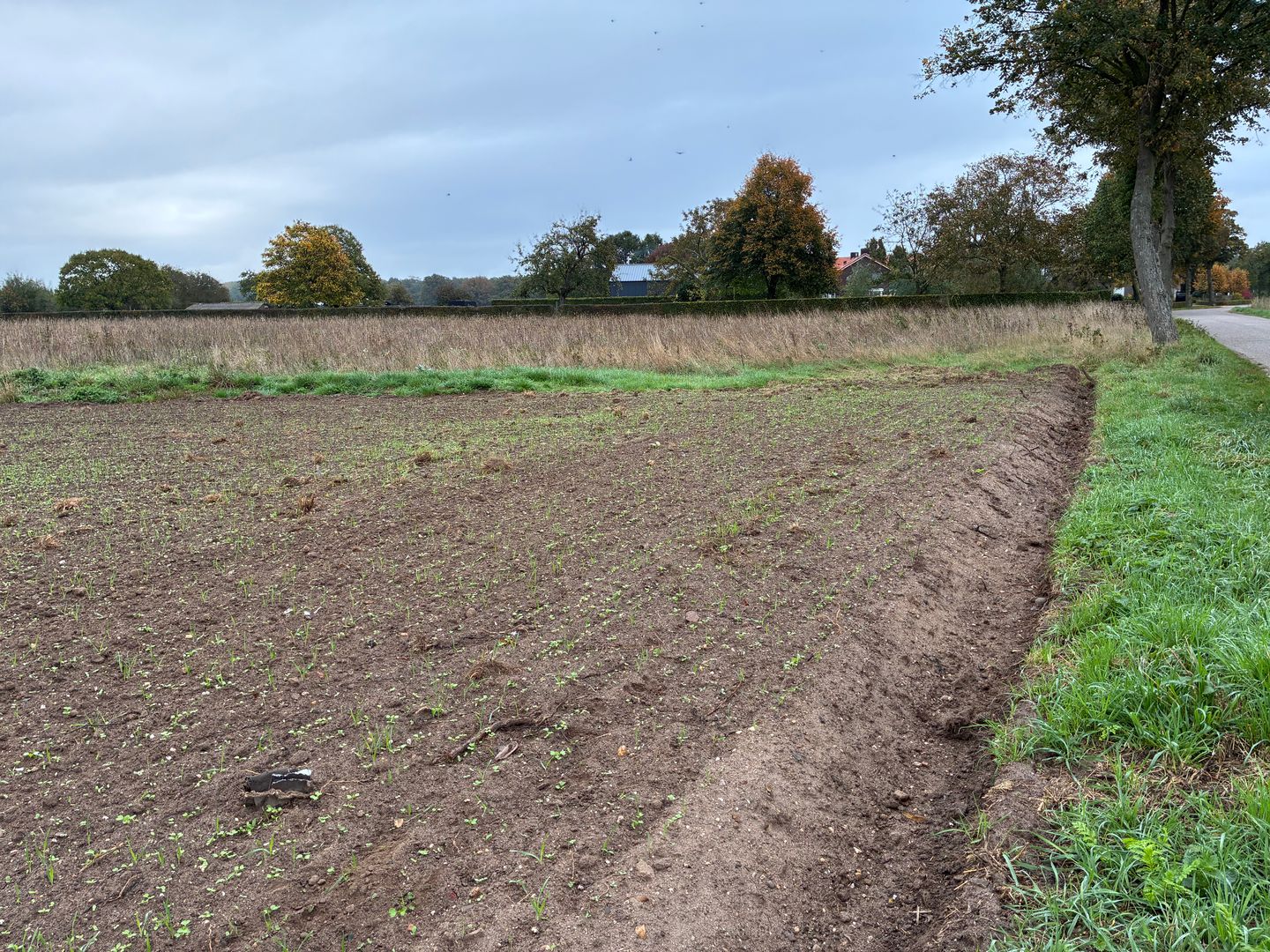 Bekijk foto 5 van Augustinusweg
