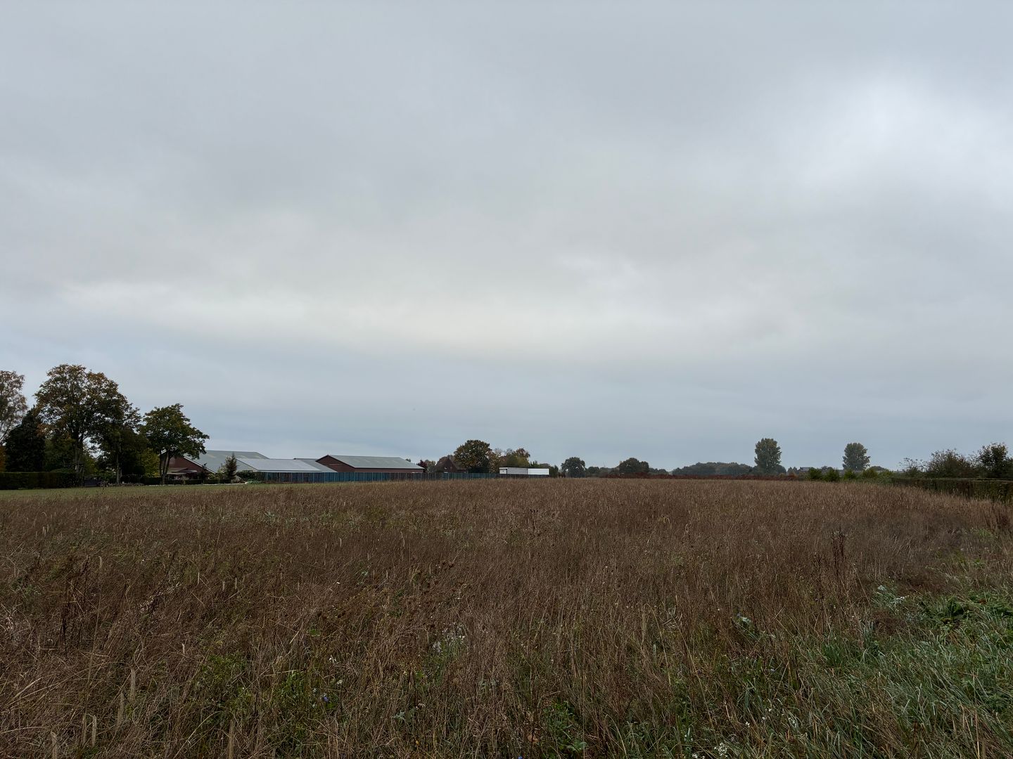Bekijk foto 4 van Augustinusweg