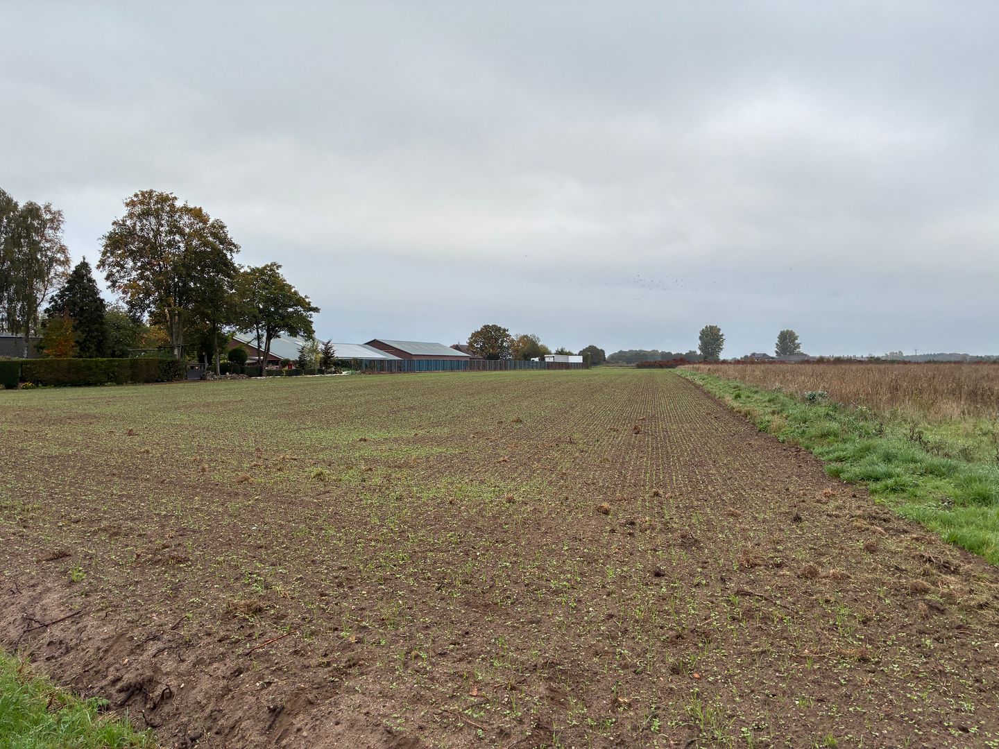 Bekijk foto 2 van Augustinusweg