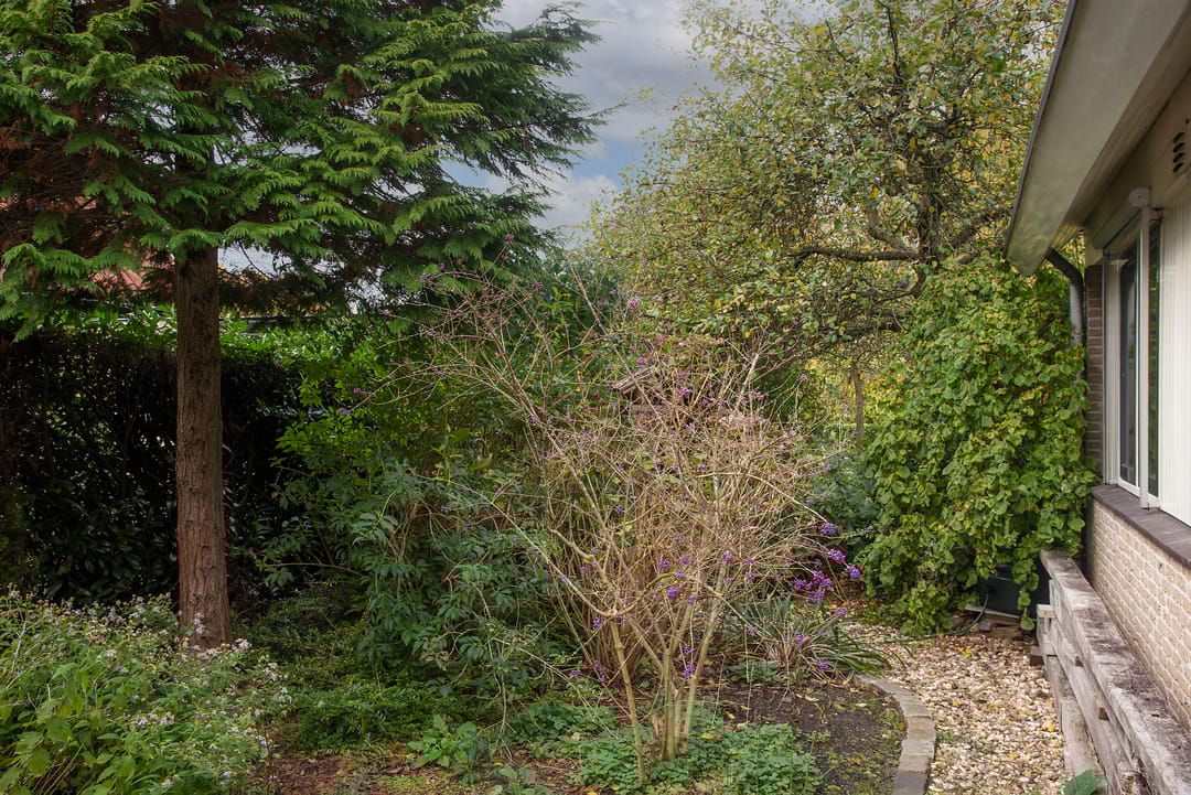 Foto 41 van Goudenregenstraat 10