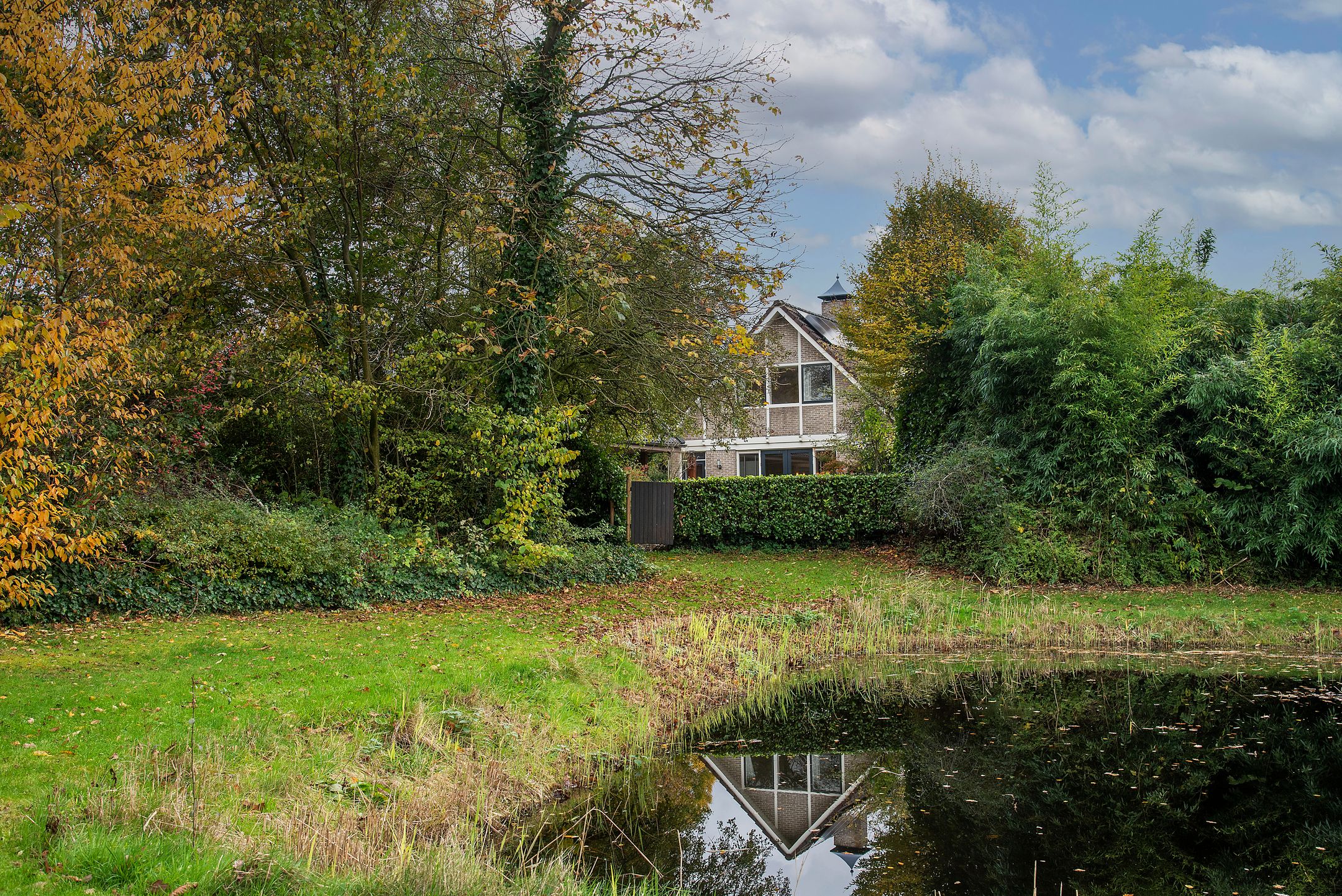 Foto 42 van Goudenregenstraat 10