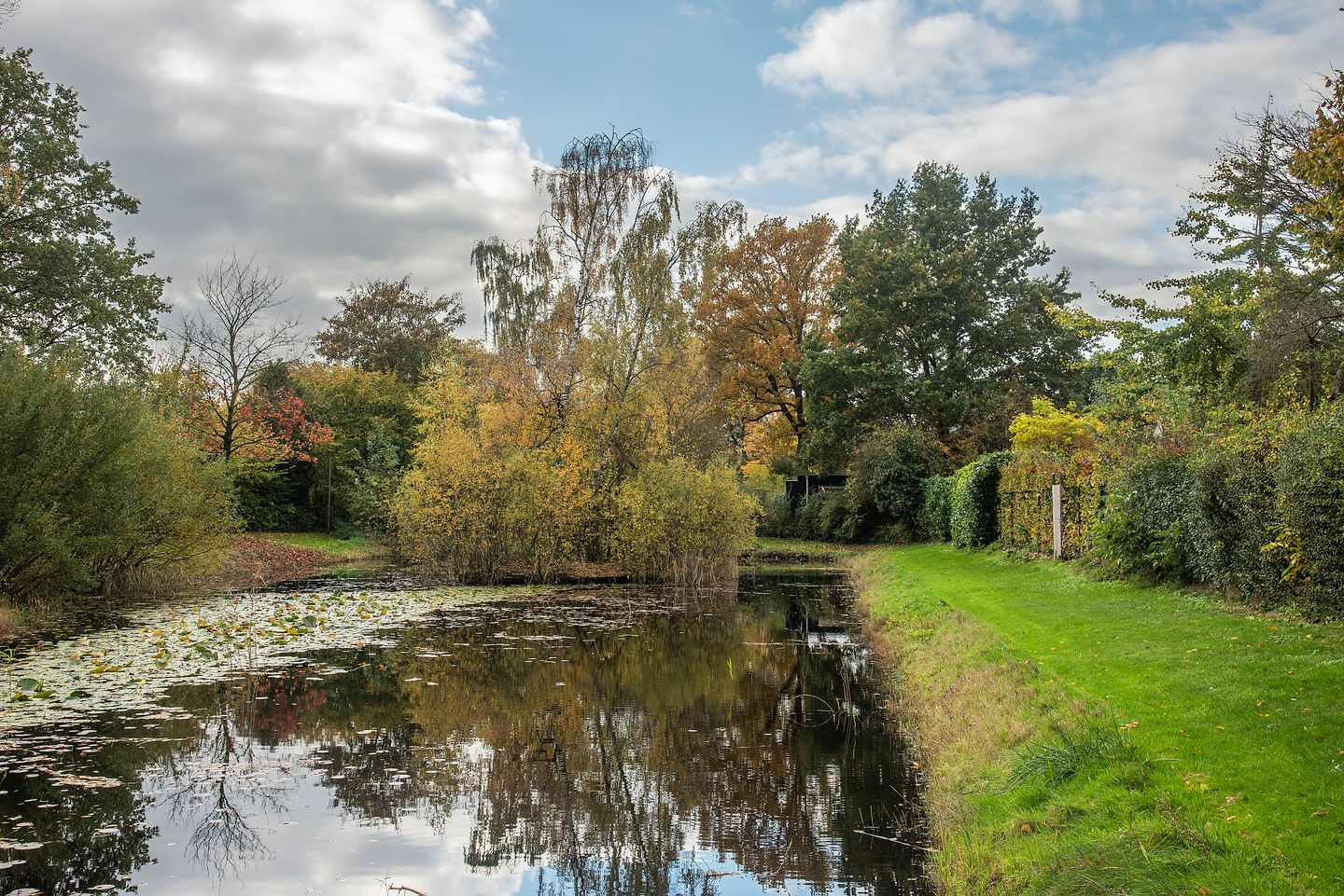 Foto 44 van Goudenregenstraat 10