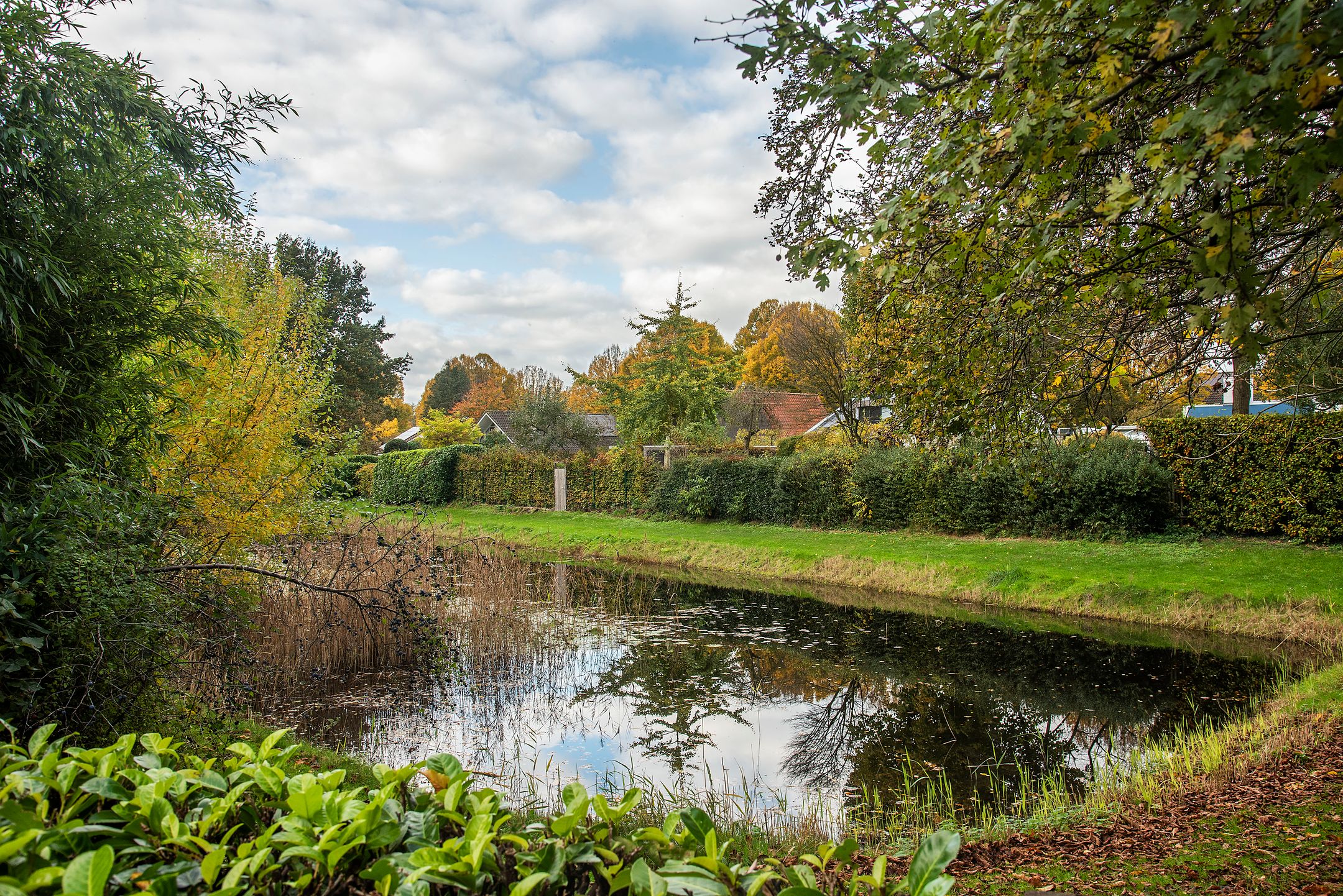 Foto 45 van Goudenregenstraat 10