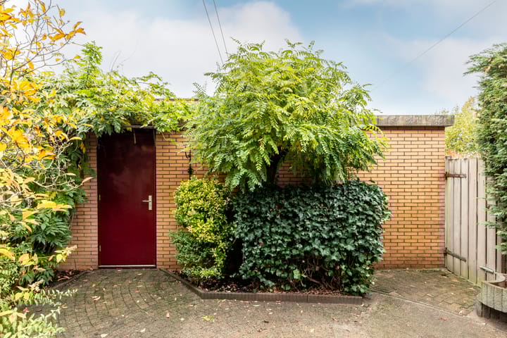 Photo 38 of Maria Rutgersstraat 11