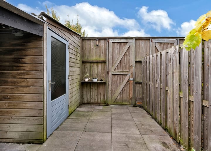 Photo 23 of Theodora Havertuin 11