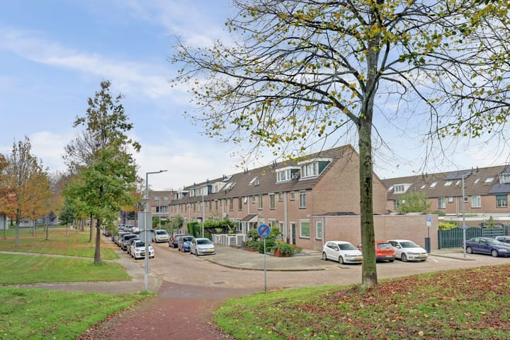 Foto 23 van Tormentil 28