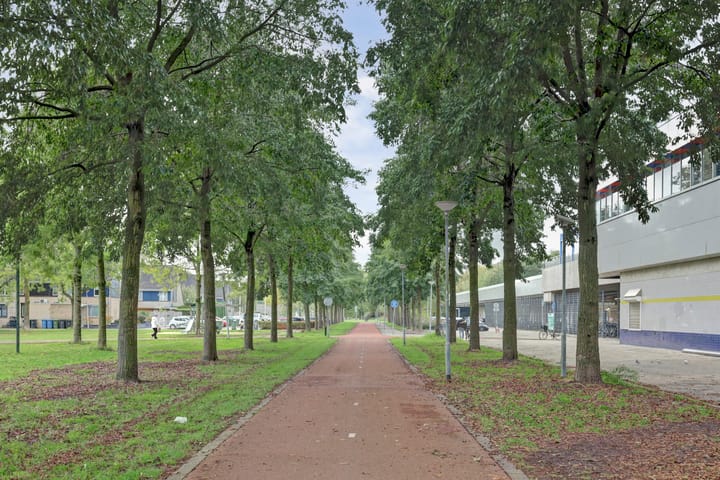 Foto 24 van Tormentil 28