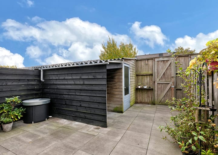 Photo 22 of Theodora Havertuin 11