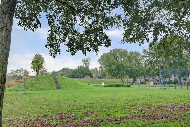 Foto 26 van Tormentil 28