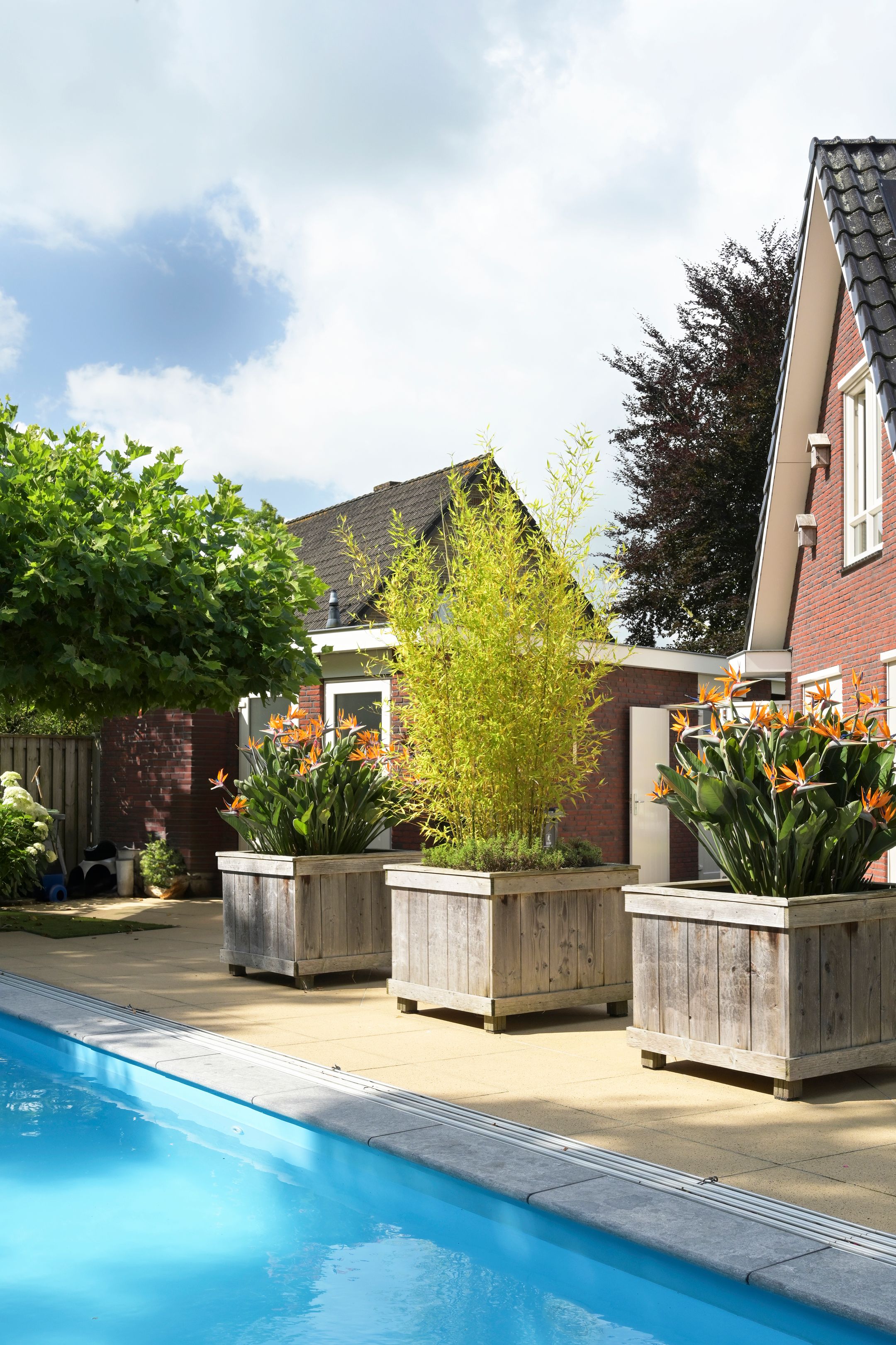 Foto 45 van De Gaikhorst 197