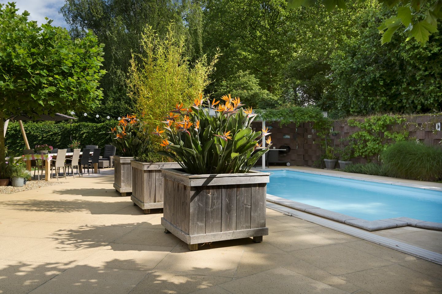 Foto 50 van De Gaikhorst 197