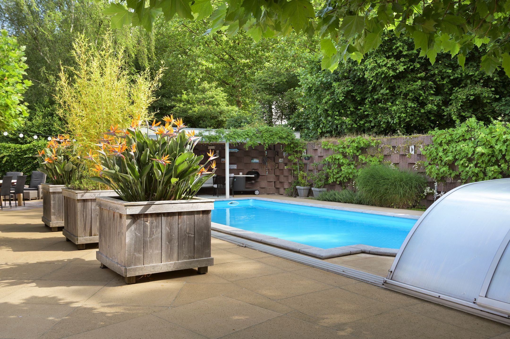 Foto 48 van De Gaikhorst 197