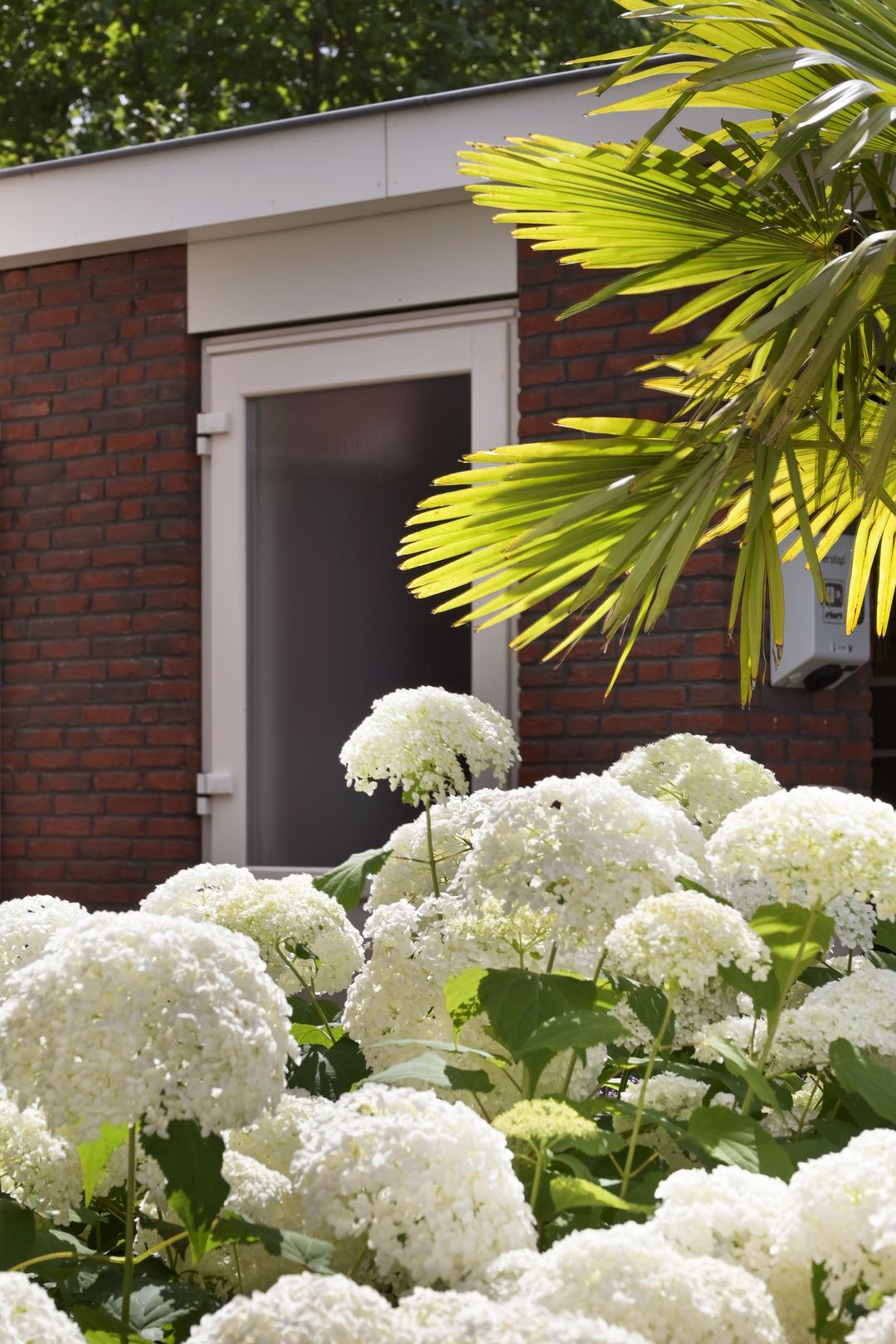 Foto 61 van De Gaikhorst 197