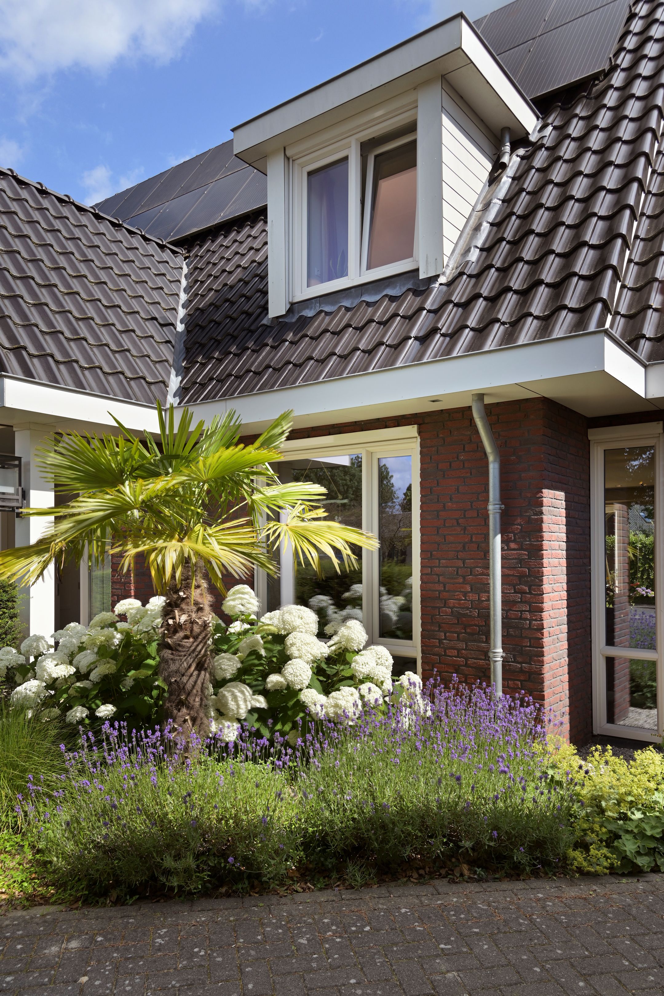 Foto 63 van De Gaikhorst 197