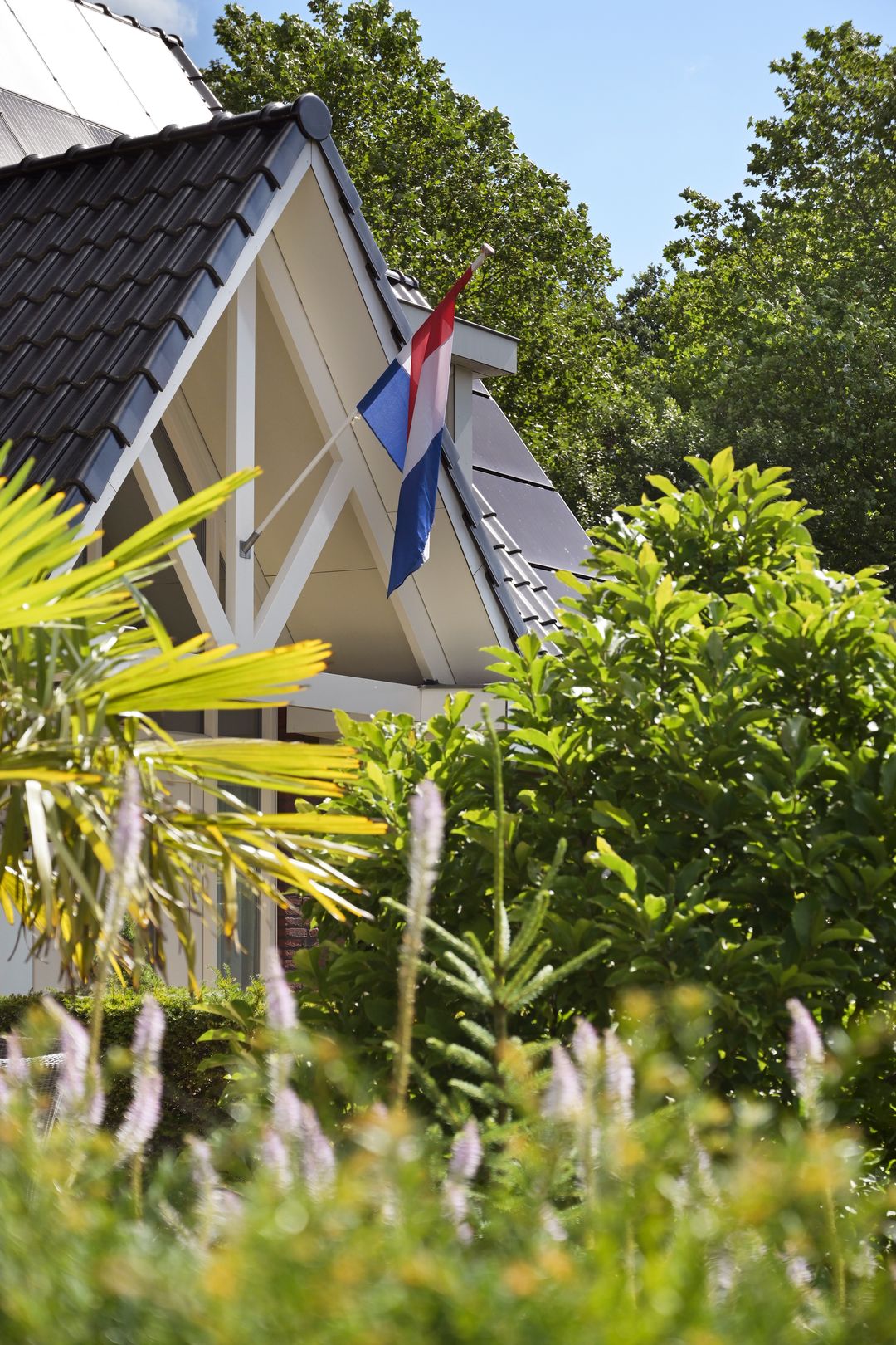 Foto 68 van De Gaikhorst 197