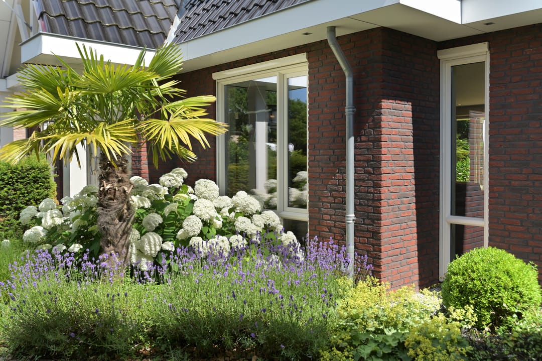 Foto 73 van De Gaikhorst 197