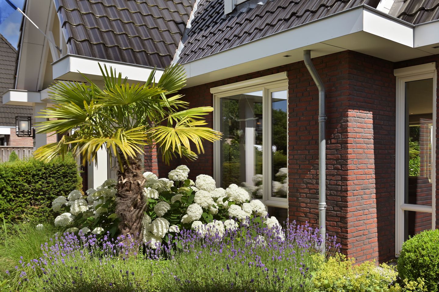 Foto 74 van De Gaikhorst 197