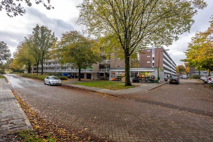 Photo 10 of van Goyenlaan 158