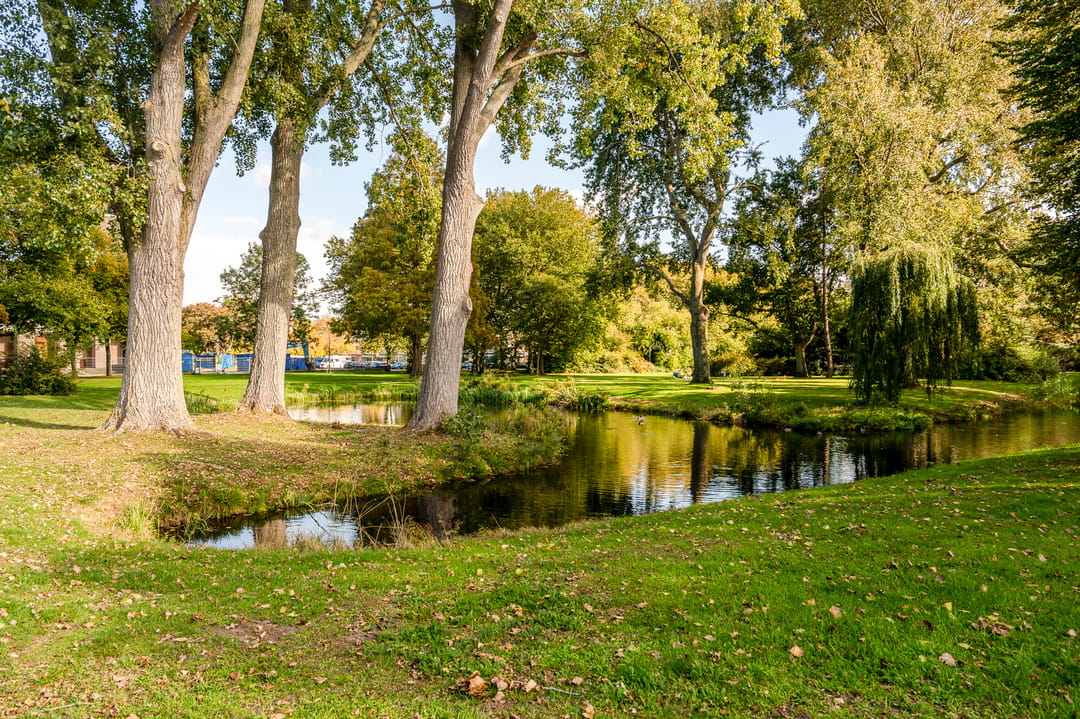 Foto 31 van Burmanlaan 154