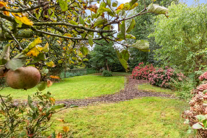 Foto 113 van Bodegraafsestraatweg 139