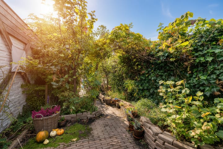 Foto 35 van Dorpstraat 25