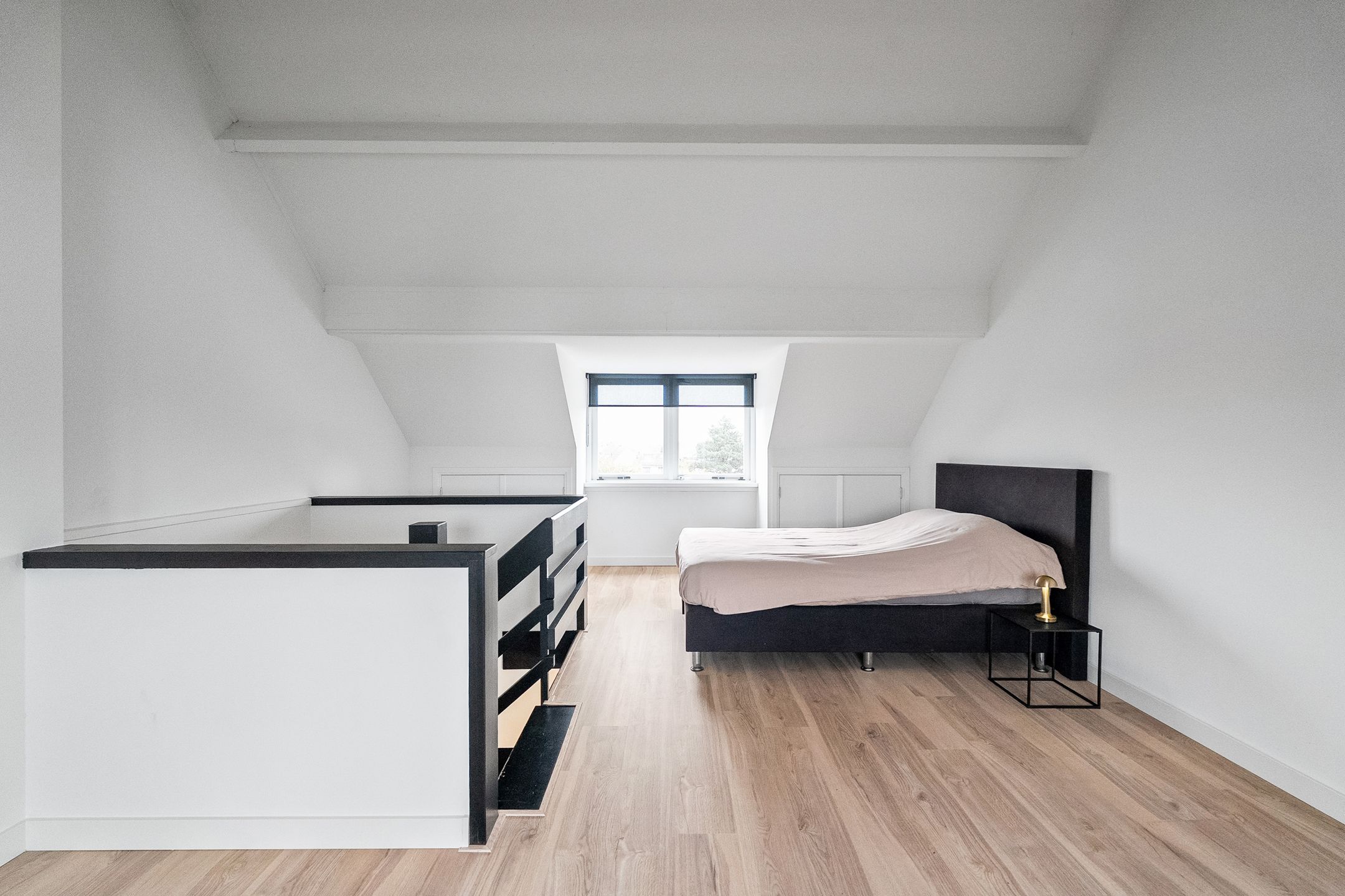 Photo 30 of Pluto 31