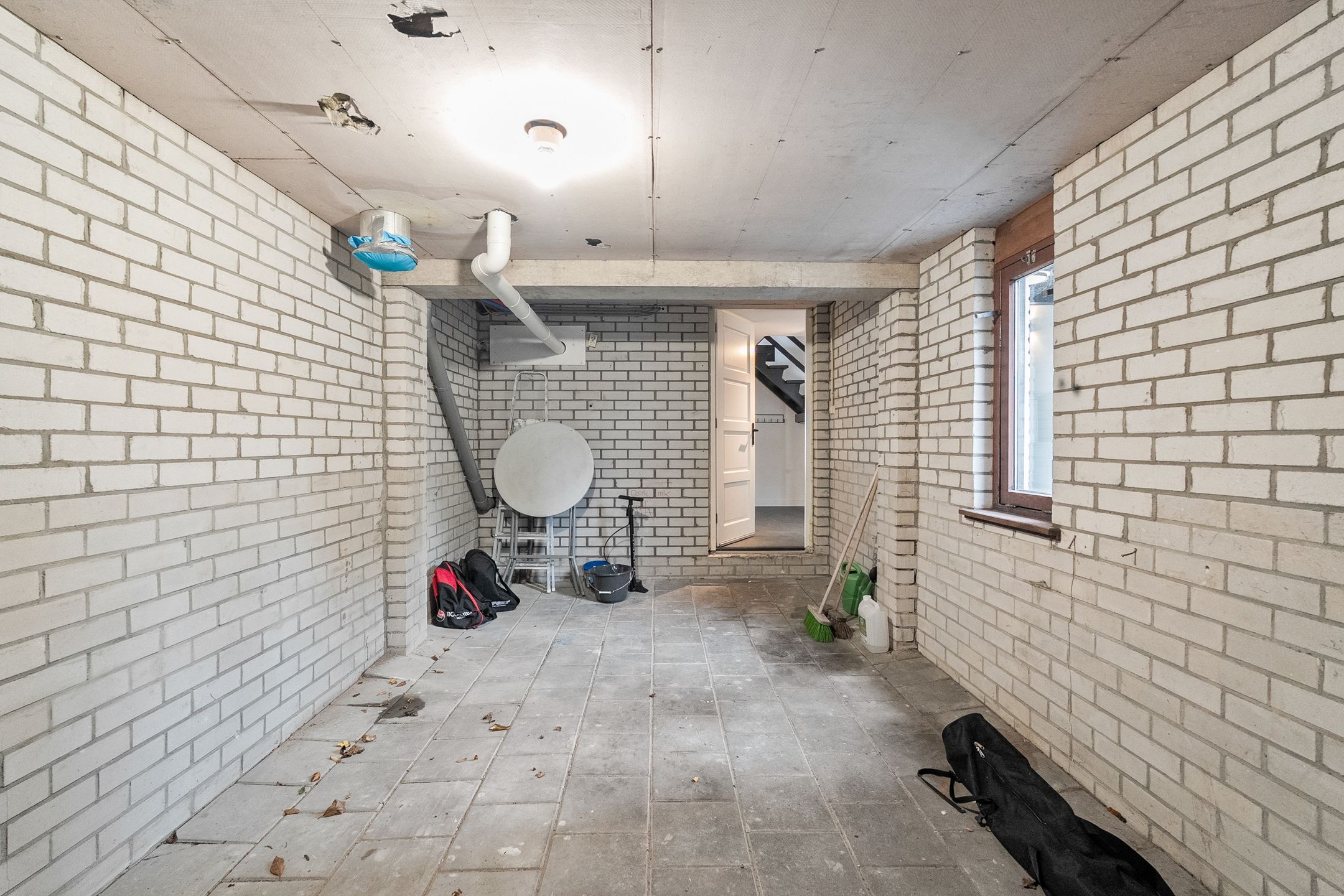 Photo 33 of Pluto 31