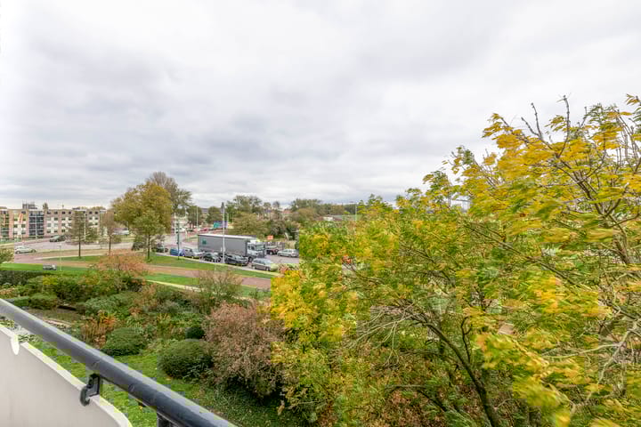 Foto 4 van Rotterdamsedijk 51