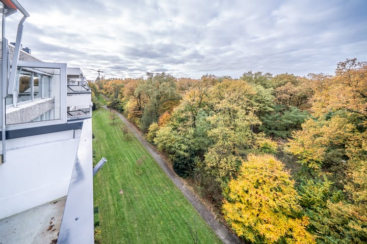 Foto 21 van Beethovenlaan 373