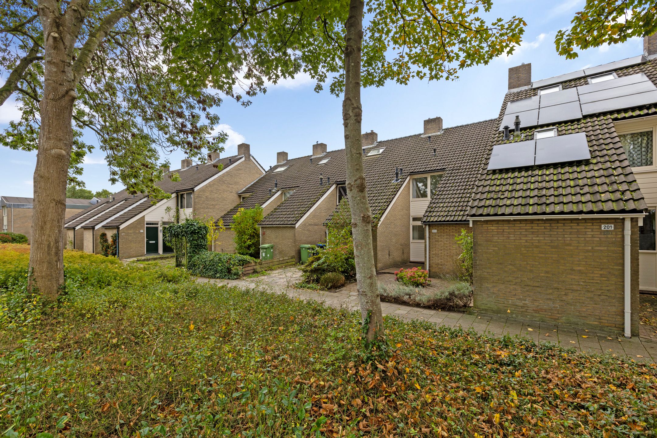 Foto 9 van Zuiderweg 203