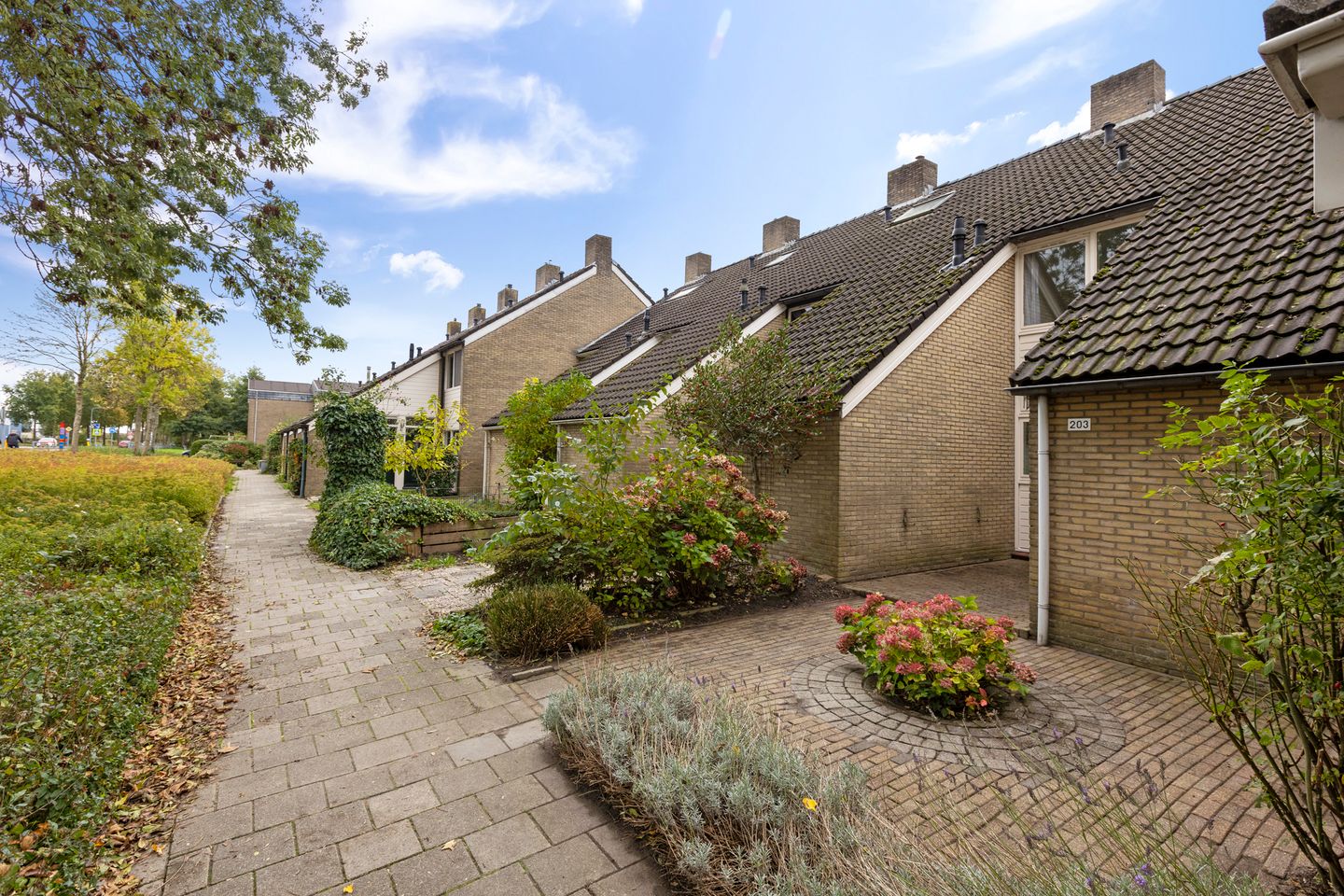 Foto 10 van Zuiderweg 203